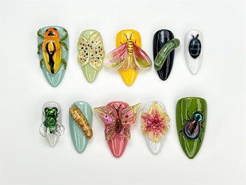 Bug Garden Summer Butterfly Beetle