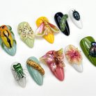 Bug Garden Summer Butterfly Beetle